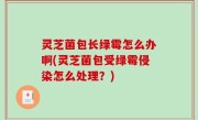 灵芝菌包长绿霉怎么办啊(灵芝菌包受绿霉侵染怎么处理？)