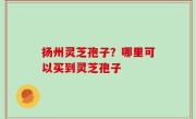 扬州灵芝孢子？哪里可以买到灵芝孢子