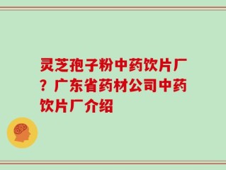 灵芝孢子粉中药饮片厂？广东省药材公司中药饮片厂介绍