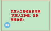 灵芝人工种植生长周期(灵芝人工种植：生长周期详解)