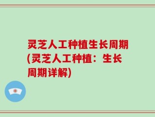 灵芝人工种植生长周期(灵芝人工种植：生长周期详解)
