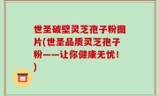 世圣破壁灵芝孢子粉图片(世圣品质灵芝孢子粉——让你健康无忧！)