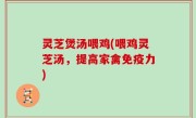灵芝煲汤喂鸡(喂鸡灵芝汤，提高家禽免疫力)