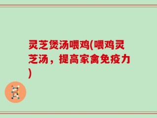 灵芝煲汤喂鸡(喂鸡灵芝汤，提高家禽免疫力)