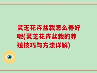 灵芝花卉盆栽怎么养好呢(灵芝花卉盆栽的养殖技巧与方法详解)