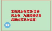 宝安民水电灵芝(宝安民水电：为居民提供高品质的灵芝水资源)