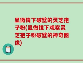 显微镜下破壁的灵芝孢子粉(显微镜下观察灵芝孢子粉破壁的神奇图像)