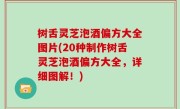 树舌灵芝泡酒偏方大全图片(20种制作树舌灵芝泡酒偏方大全，详细图解！)