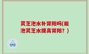 灵芝泡水补肾阳吗(能泡灵芝水提高肾阳？)