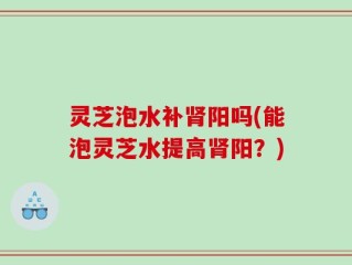 灵芝泡水补肾阳吗(能泡灵芝水提高肾阳？)