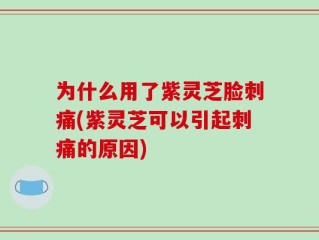 为什么用了紫灵芝脸刺痛(紫灵芝可以引起刺痛的原因)