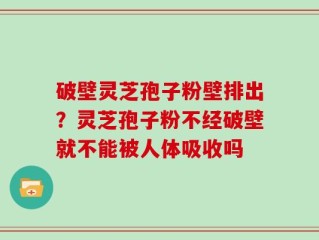 破壁灵芝孢子粉壁排出？灵芝孢子粉不经破壁就不能被人体吸收吗