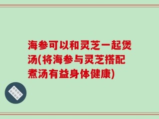 海参可以和灵芝一起煲汤(将海参与灵芝搭配煮汤有益身体健康)