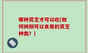 哪种灵芝才可以吃(如何辨别可以食用的灵芝种类？)