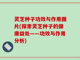 灵芝种子功效与作用图片(探索灵芝种子的健康益处——功效与作用分析)