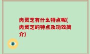 肉灵芝有什幺特点呢(肉灵芝的特点及功效简介)