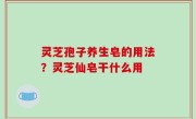 灵芝孢子养生皂的用法？灵芝仙皂干什么用