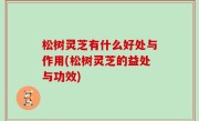 松树灵芝有什么好处与作用(松树灵芝的益处与功效)