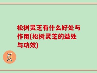 松树灵芝有什么好处与作用(松树灵芝的益处与功效)