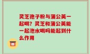 灵芝孢子粉与蒲公英一起喝？灵芝和蒲公英能一起泡水喝吗能起到什么作用