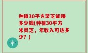 种植30平方灵芝能赚多少钱(种植30平方米灵芝，年收入可达多少？)