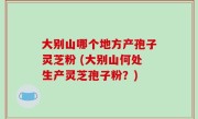 大别山哪个地方产孢子灵芝粉 (大别山何处生产灵芝孢子粉？)