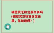 破壁灵芝粉含蛋白多吗(破壁灵芝粉富含蛋白质，你知道吗？)