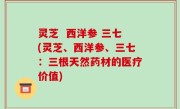 灵芝  西洋参 三七(灵芝、西洋参、三七：三根天然药材的医疗价值)