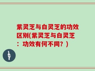 紫灵芝与白灵芝的功效区别(紫灵芝与白灵芝：功效有何不同？)