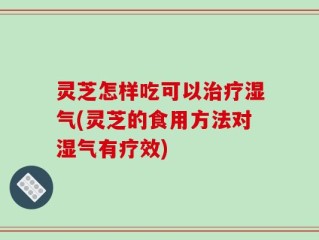 灵芝怎样吃可以治疗湿气(灵芝的食用方法对湿气有疗效)