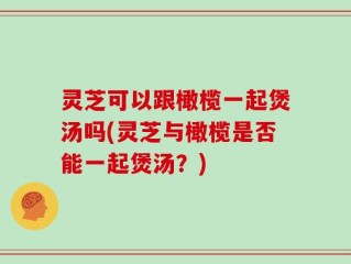 灵芝可以跟橄榄一起煲汤吗(灵芝与橄榄是否能一起煲汤？)