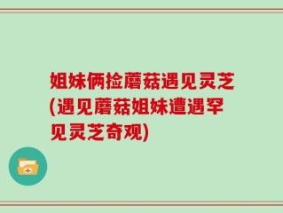 姐妹俩捡蘑菇遇见灵芝(遇见蘑菇姐妹遭遇罕见灵芝奇观)