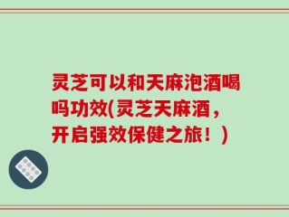 灵芝可以和天麻泡酒喝吗功效(灵芝天麻酒，开启强效保健之旅！)
