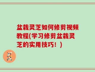 盆栽灵芝如何修剪视频教程(学习修剪盆栽灵芝的实用技巧！)