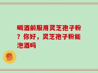 喝酒前服用灵芝孢子粉？你好，灵芝孢子粉能泡酒吗
