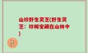 山珍野生灵芝(野生灵芝：珍稀宝藏在山林中)
