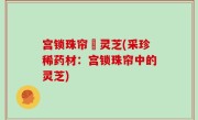 宫锁珠帘釆灵芝(采珍稀药材：宫锁珠帘中的灵芝)
