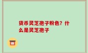货币灵芝孢子粉色？什么是灵芝孢子