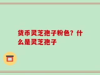 货币灵芝孢子粉色？什么是灵芝孢子