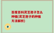 百度百科灵芝孢子怎么种植(灵芝孢子的种植方法解析)