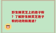 野生鲜灵芝上的孢子粉？了解野生鲜灵芝孢子粉的功效和用途？