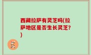 西藏拉萨有灵芝吗(拉萨地区是否生长灵芝？)