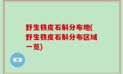 野生铁皮石斛分布地(野生铁皮石斛分布区域一览)
