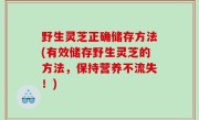 野生灵芝正确储存方法(有效储存野生灵芝的方法，保持营养不流失！)