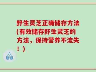 野生灵芝正确储存方法(有效储存野生灵芝的方法，保持营养不流失！)