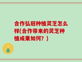 合作弘冠种植灵芝怎么样(合作带来的灵芝种植成果如何？)