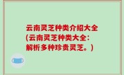 云南灵芝种类介绍大全(云南灵芝种类大全：解析多种珍贵灵芝。)