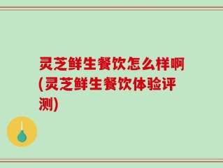 灵芝鲜生餐饮怎么样啊(灵芝鲜生餐饮体验评测)