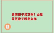 青海孢子灵芝粉？山星灵芝孢子粉怎么样