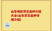 山东地区灵芝品种介绍大全(山东灵芝品种详细介绍)